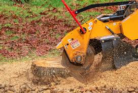 Best Lawn Fertilization  in Columbus, WI